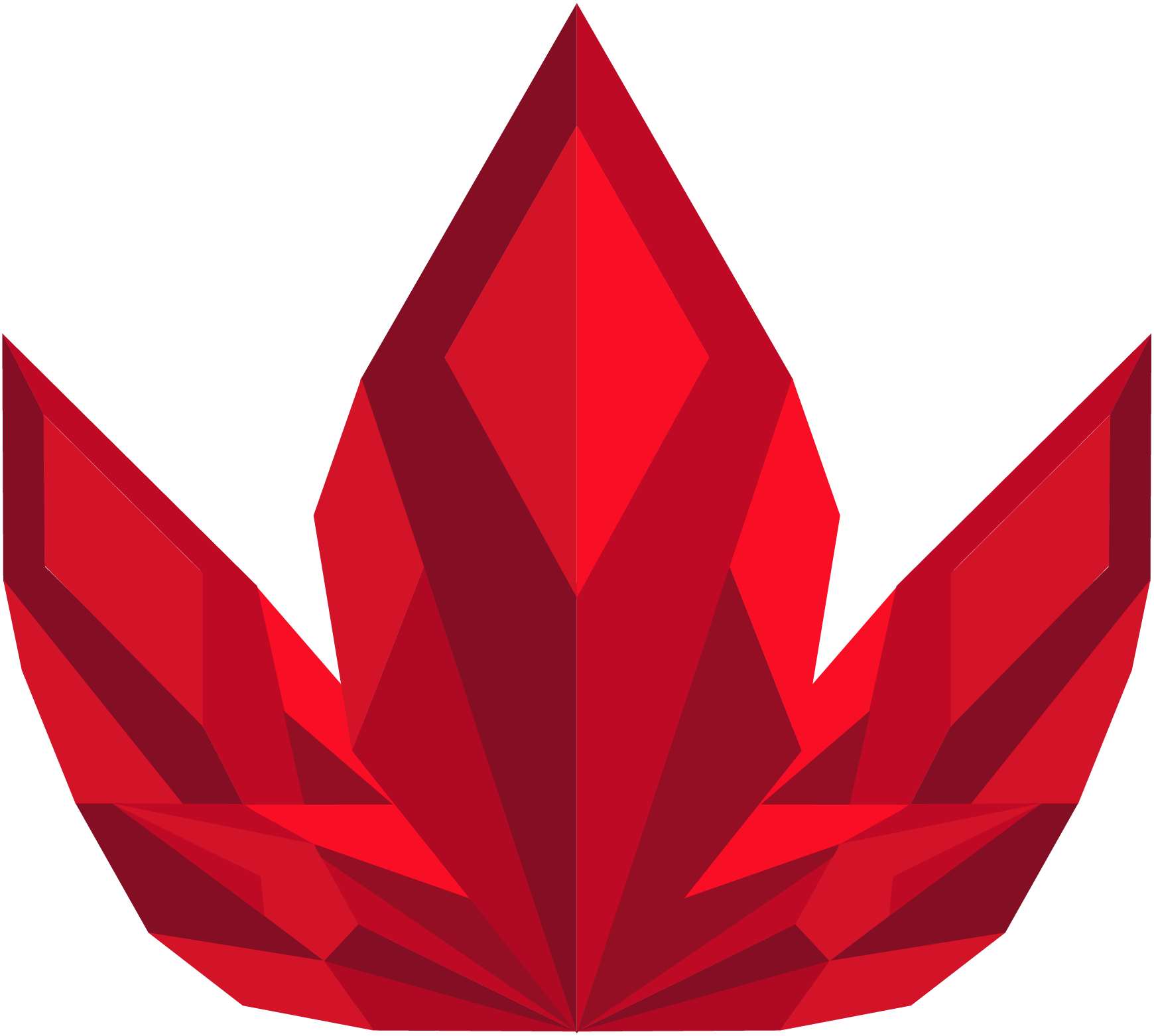 Lotus Squad