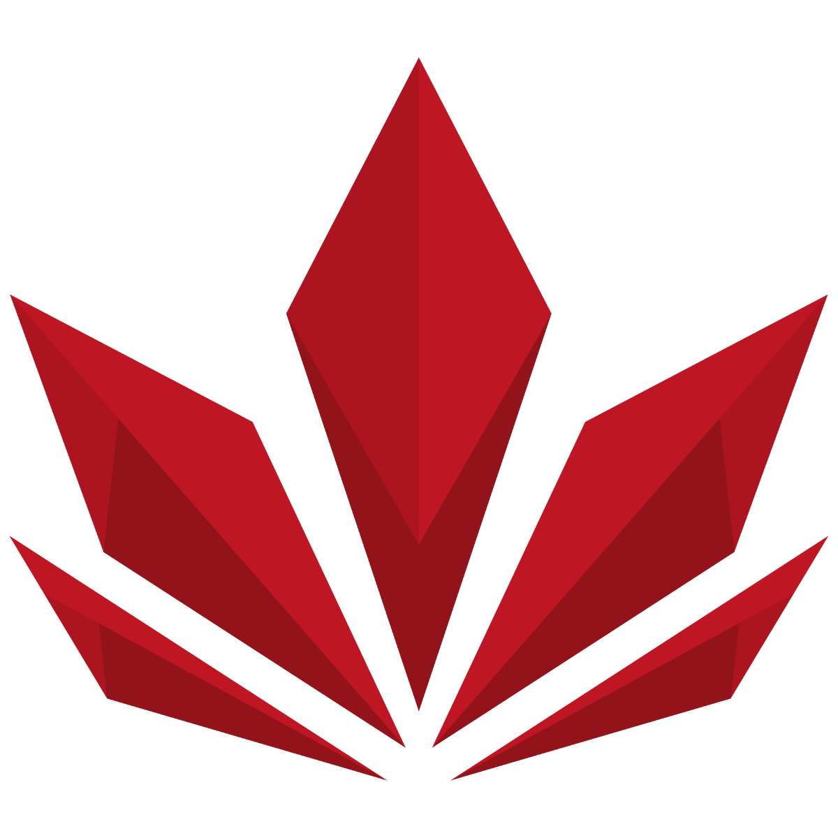 Lotus Squad